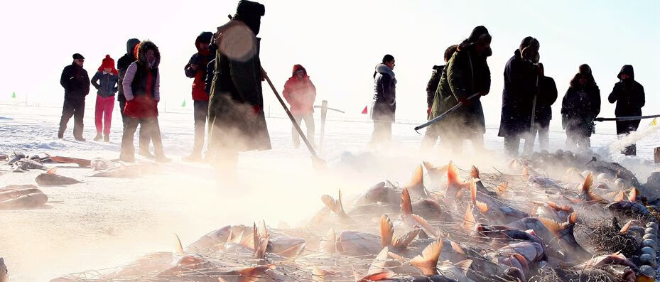 Image with missing alt attribute found on jdwl.com