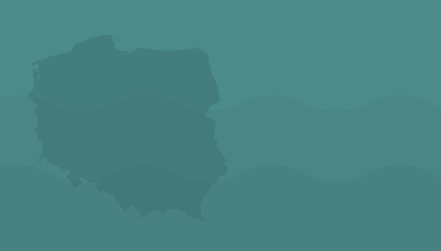 Image with missing alt attribute found on imgw.pl