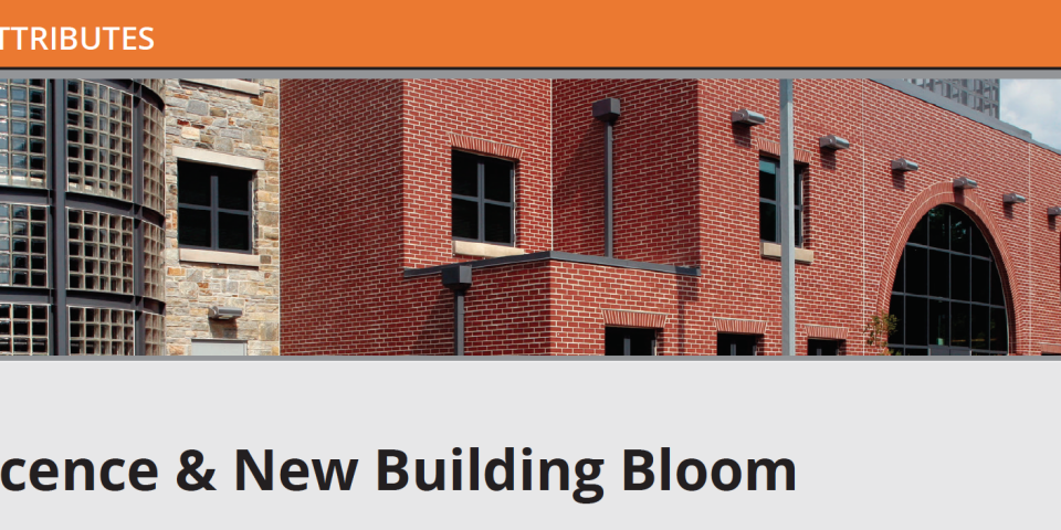 Image with missing alt attribute found on imiweb.org