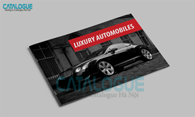 thiet-ke-catalogue-gioi-thieu-san-pham