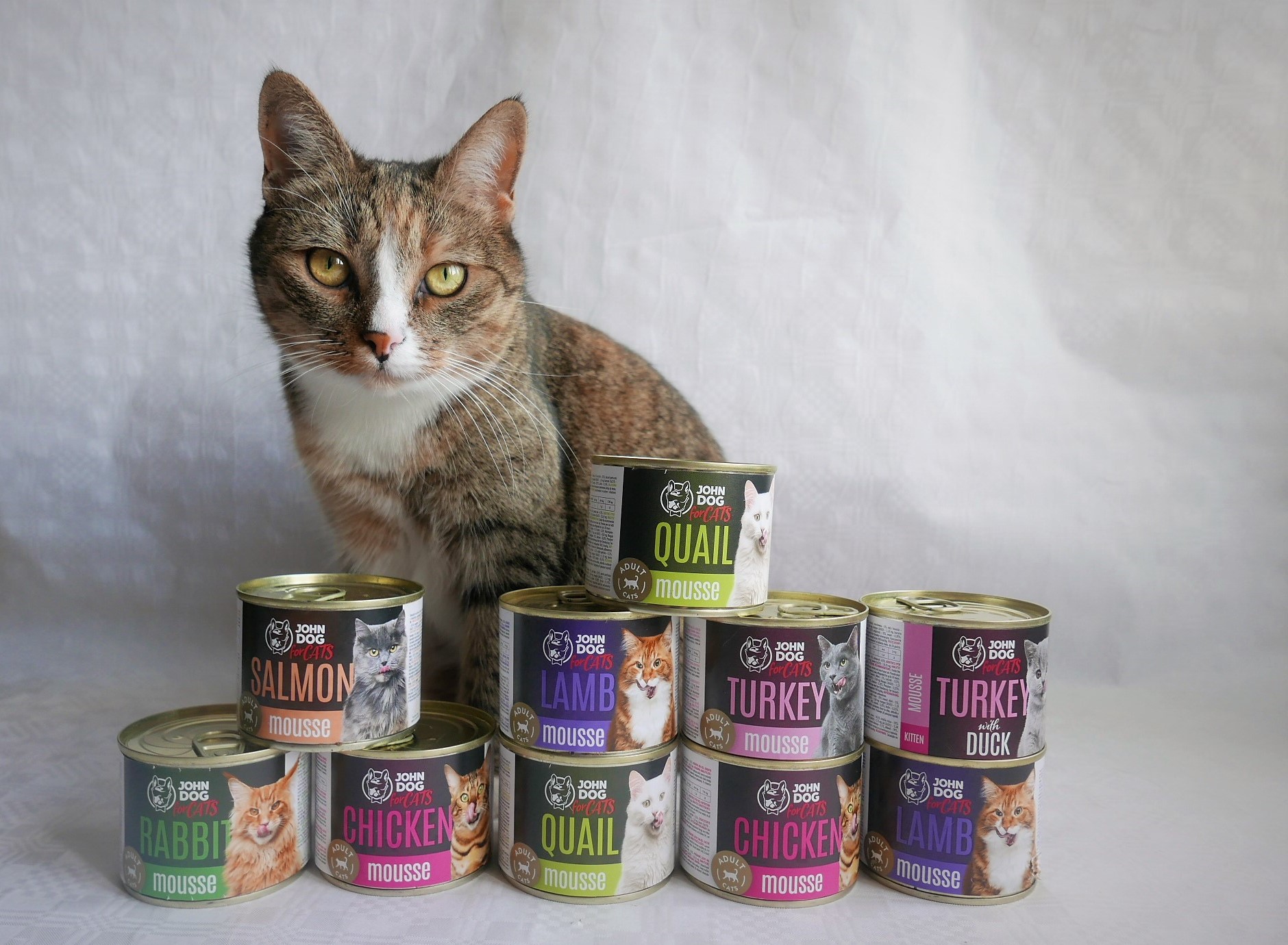 Image with missing alt attribute found on kotuszkowo.pl