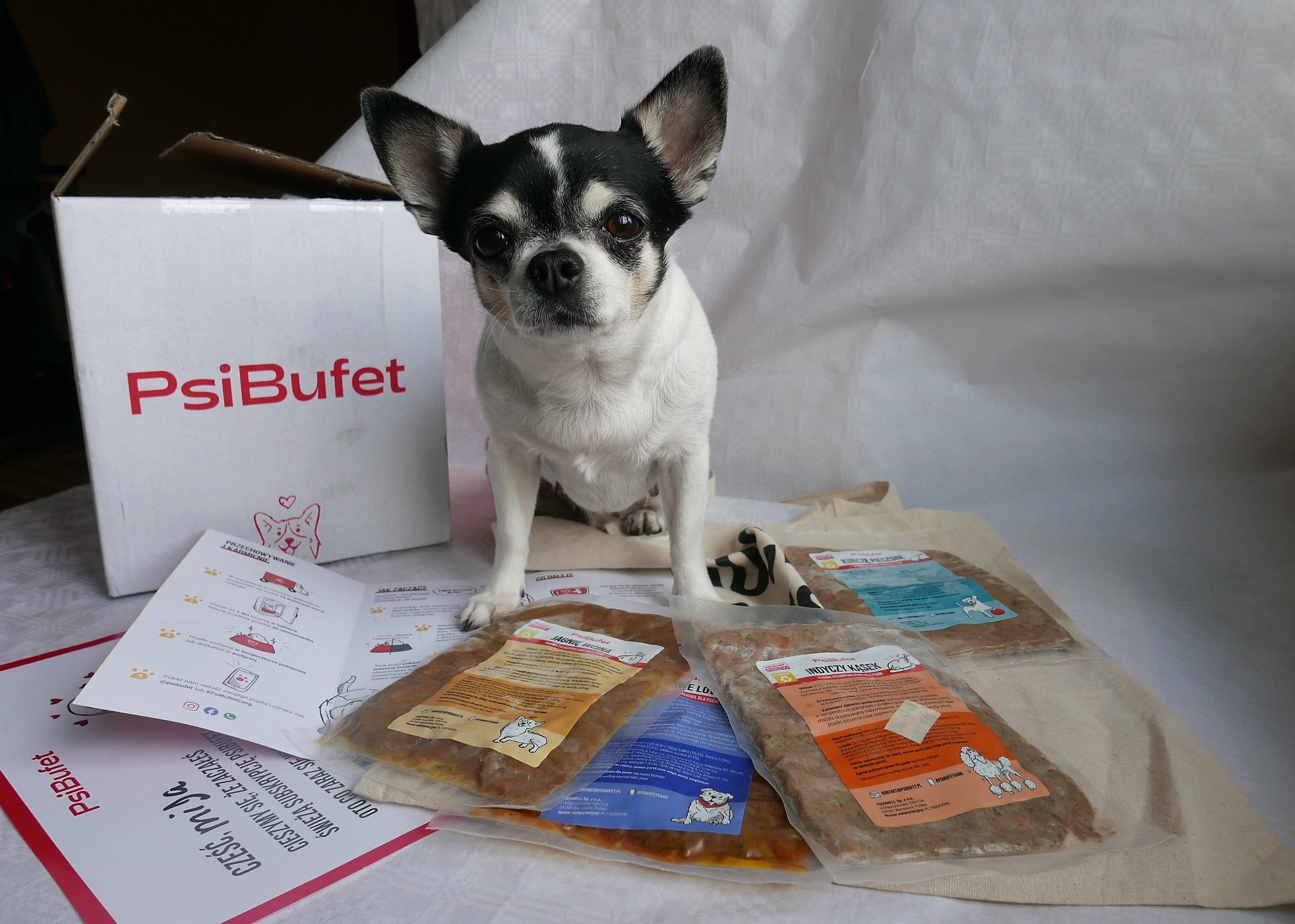 Image with missing alt attribute found on kotuszkowo.pl