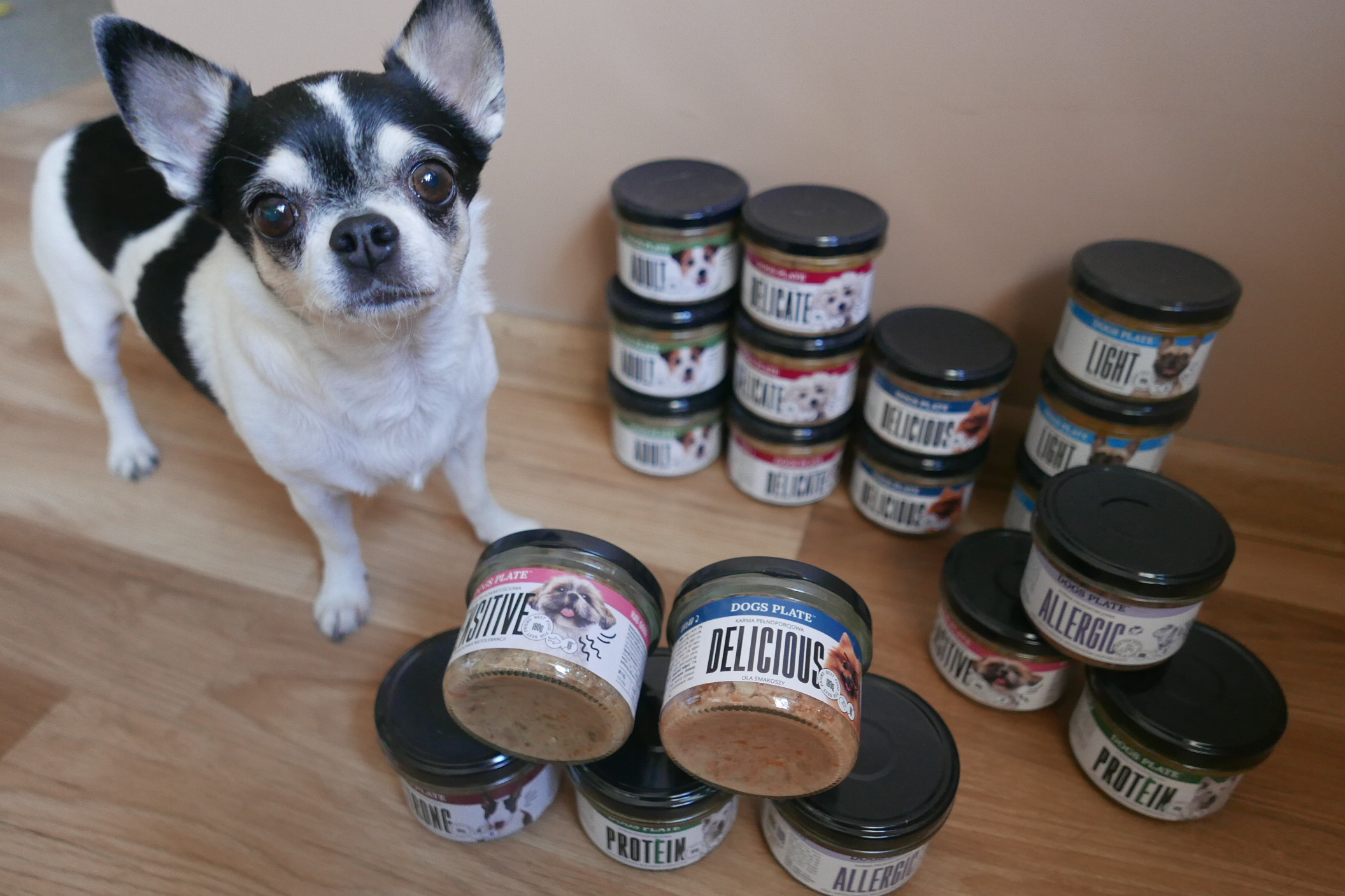 Image with missing alt attribute found on kotuszkowo.pl