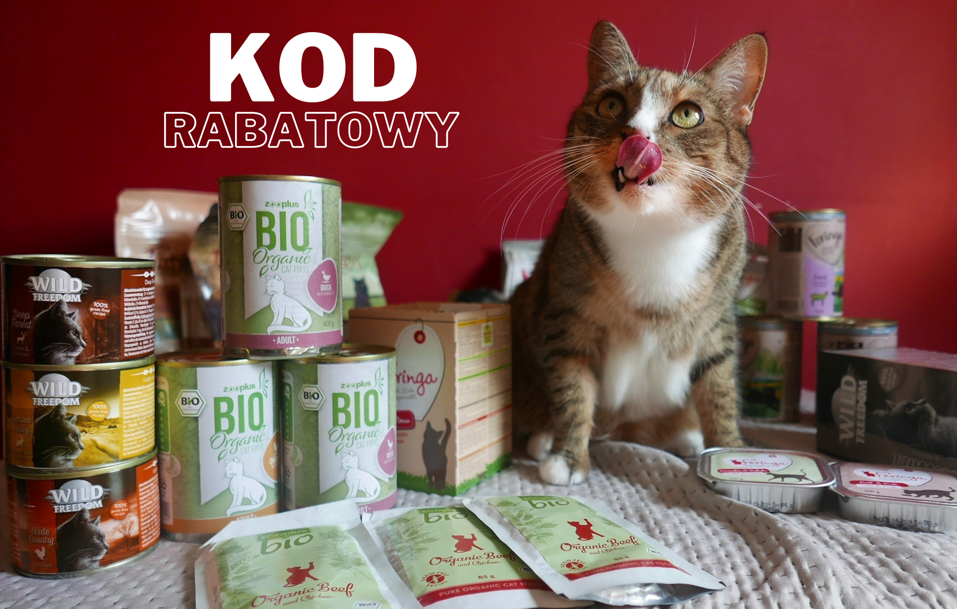 Image with missing alt attribute found on kotuszkowo.pl