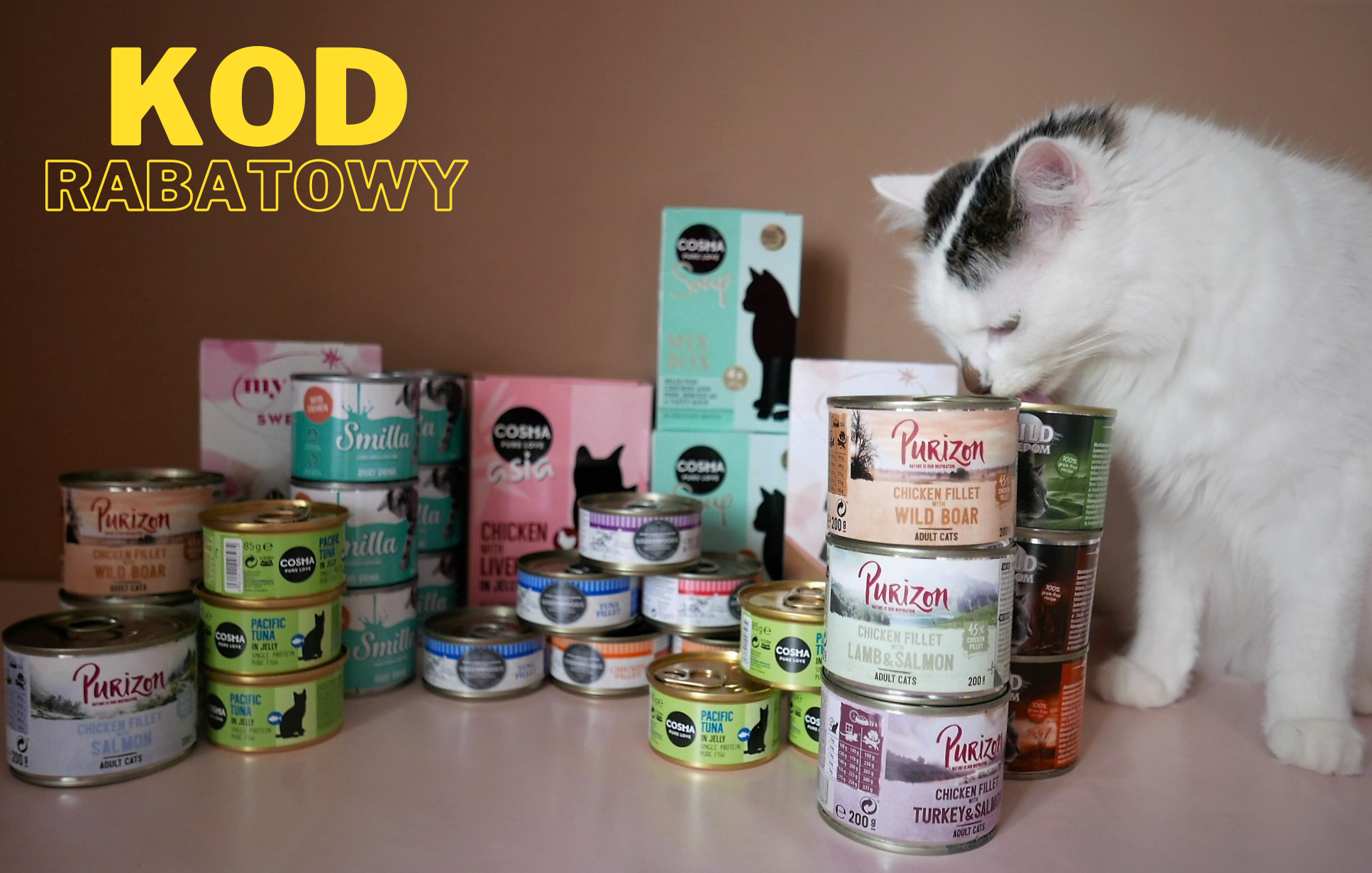 Image with missing alt attribute found on kotuszkowo.pl