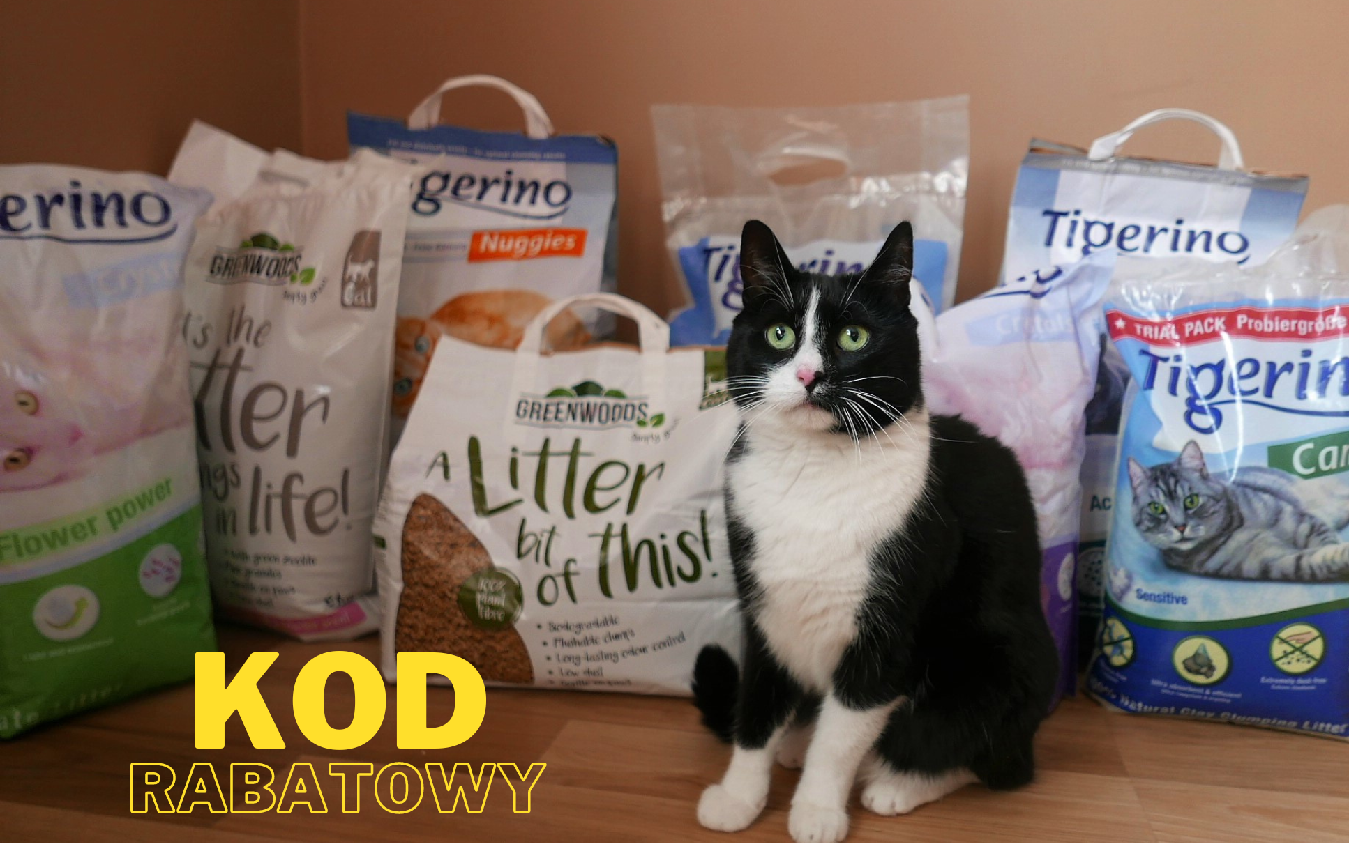 Image with missing alt attribute found on kotuszkowo.pl