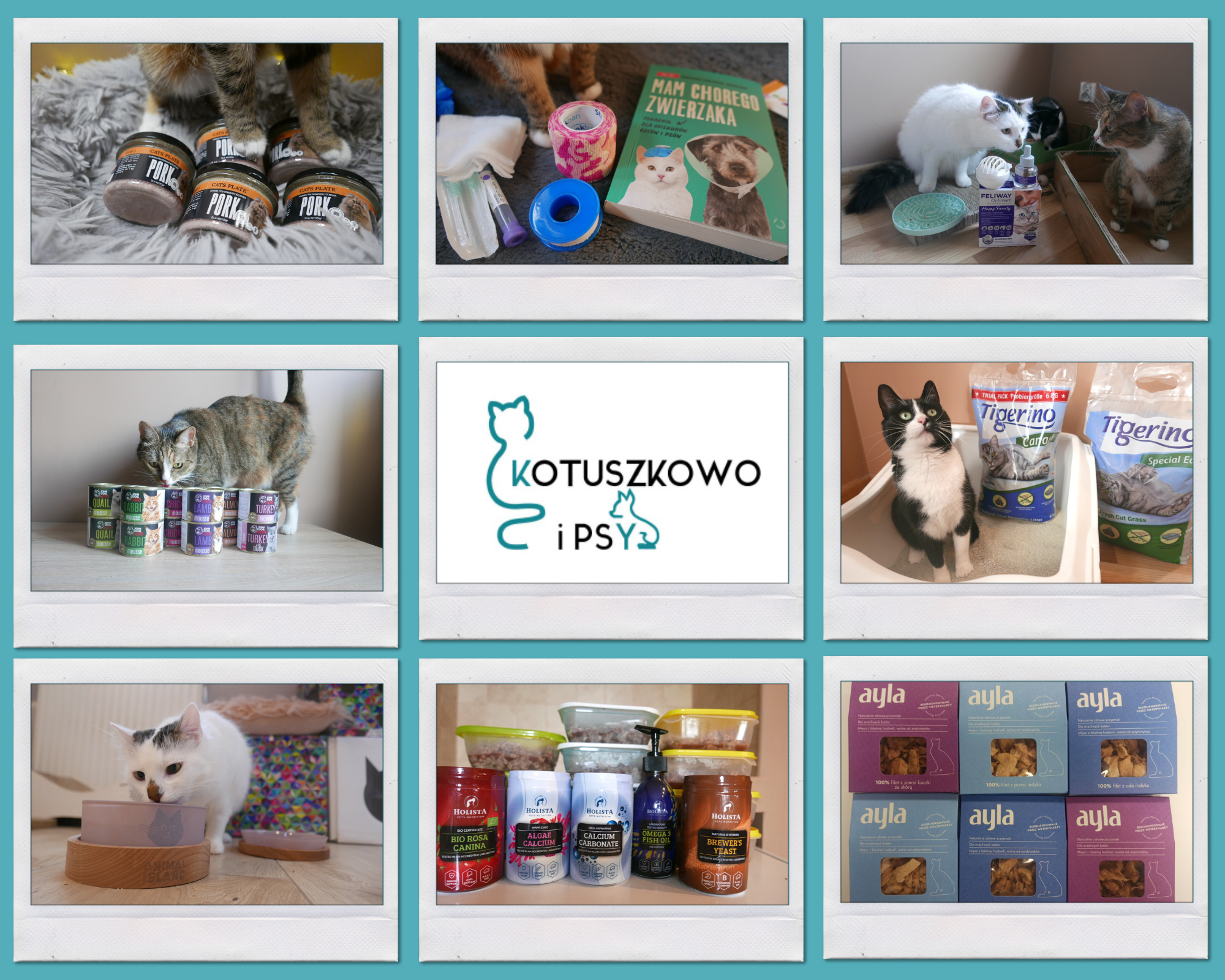 Image with missing alt attribute found on kotuszkowo.pl