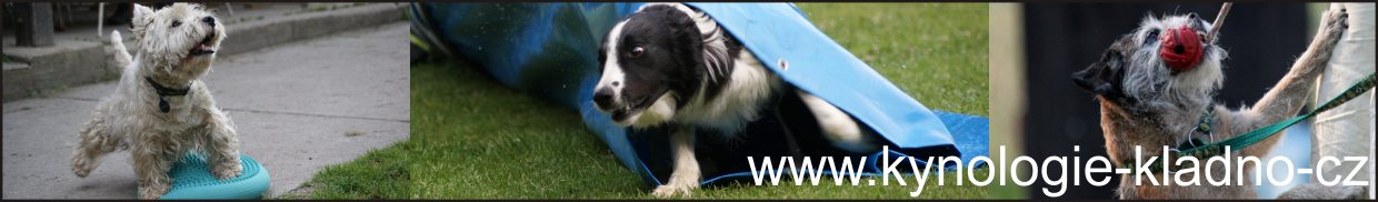 Image with missing alt attribute found on kynologie-kladno.cz