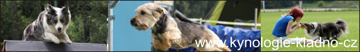 Image with missing alt attribute found on kynologie-kladno.cz