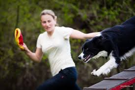 Image with missing alt attribute found on kynologie-kladno.cz