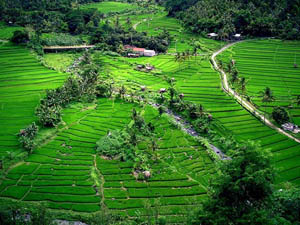 Image with missing alt attribute found on leobalidriver.com