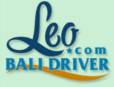 Image with missing alt attribute found on leobalidriver.com