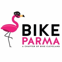 Image with missing alt attribute found on parmaobserver.com