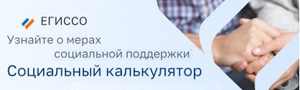 Социальный калькулятор на портале единой государственной информационной системы социального обеспечения  (страница откроется в новом окне)