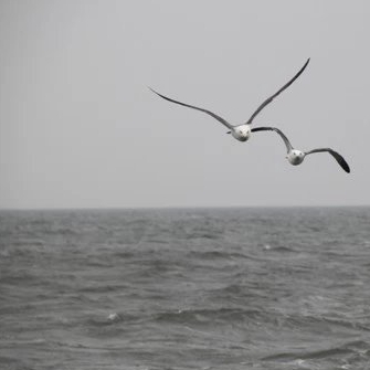 Image with missing alt attribute found on longzhu.com