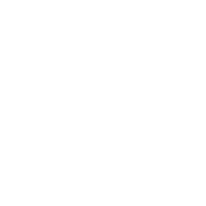 Image with missing alt attribute found on plainstel.com