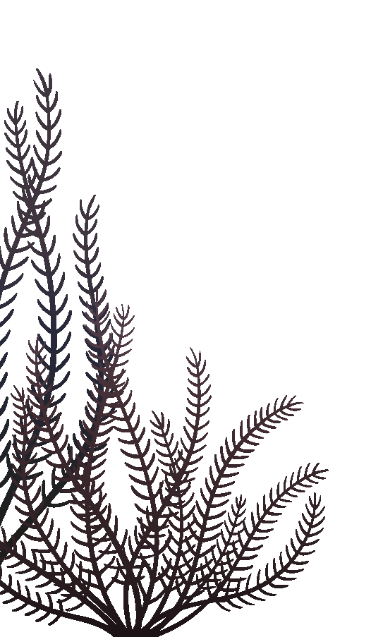 Image with missing alt attribute found on poisson-or.com