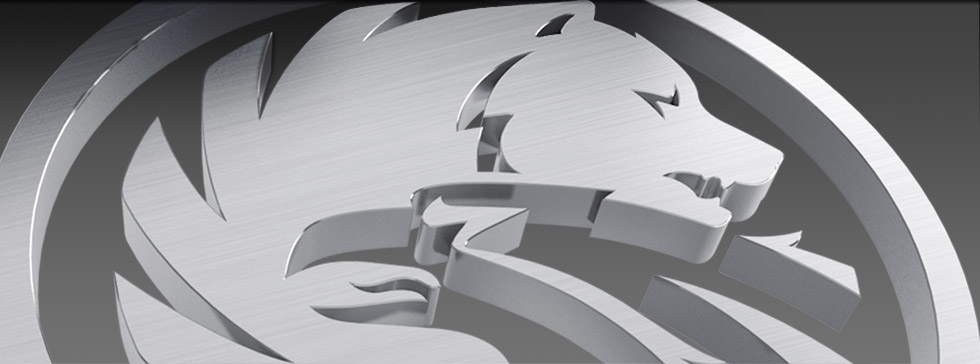 Image with missing alt attribute found on russianstandard.com