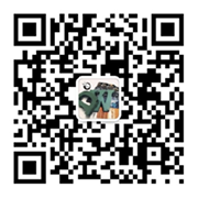 Image with missing alt attribute found on dwnews.com