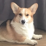 Image with missing alt attribute found on huitu.com