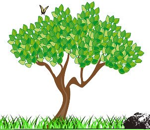 Сочинения на тему Лето