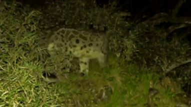 Image with missing alt attribute found on pptv.com