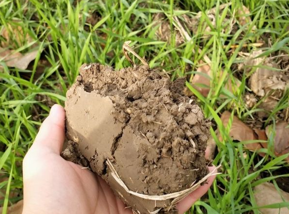 Image with missing alt attribute found on jstv.com