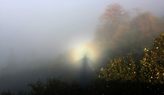 Image with missing alt attribute found on jstv.com