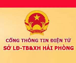 Image with missing alt attribute found on baodansinh.vn