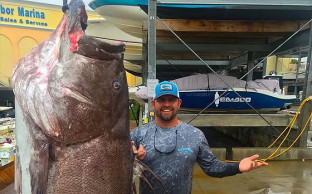 Image with missing alt attribute found on zum.com