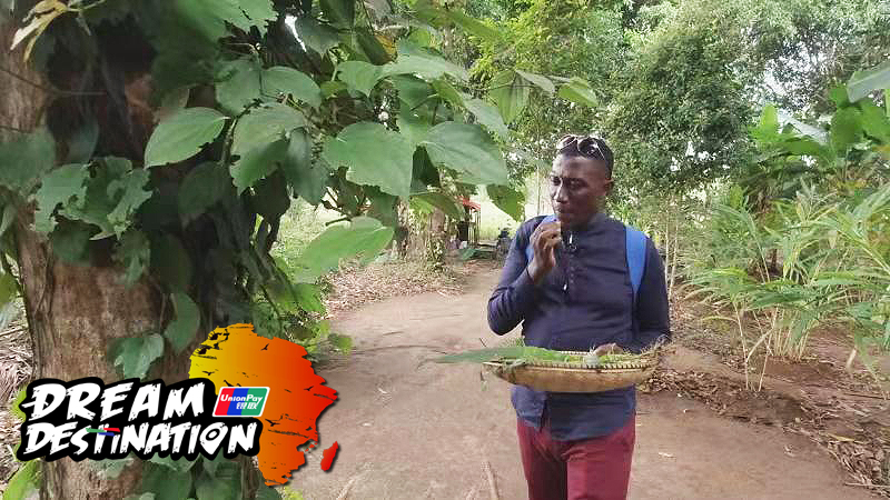 Image with missing alt attribute found on startimestv.com