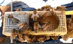 Image with missing alt attribute found on stormthecastle.com