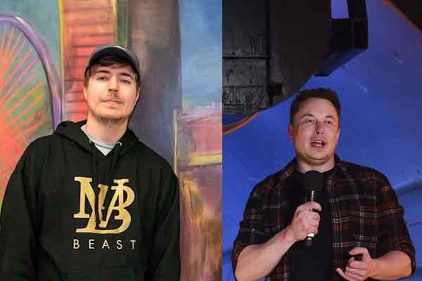 Elon Musk Donates $1 Million To MrBeast's 20 Million Trees Campaign. Why Aren't Mainstream Media Covering It?