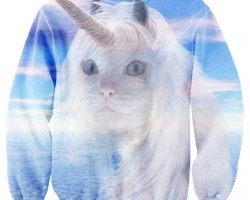 If I Ever Go To War, This Is What I