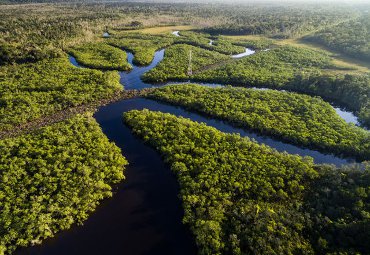 Centro Vincular PUCV y SAM publican 2&ordm; informe sobre estado de la sostenibilidad en empresas de Latinoam&eacute;rica