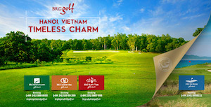 Image with missing alt attribute found on vietq.vn