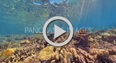 Image with missing alt attribute found on 360cities.net