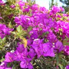 Image with missing alt attribute found on awaytravel.ru