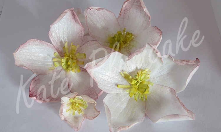 Tutorial Elleboro in wafer paper