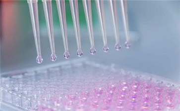 Image with missing alt attribute found on 3698.com