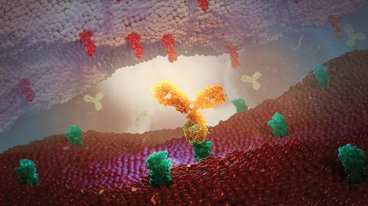 Image with missing alt attribute found on 3698.com