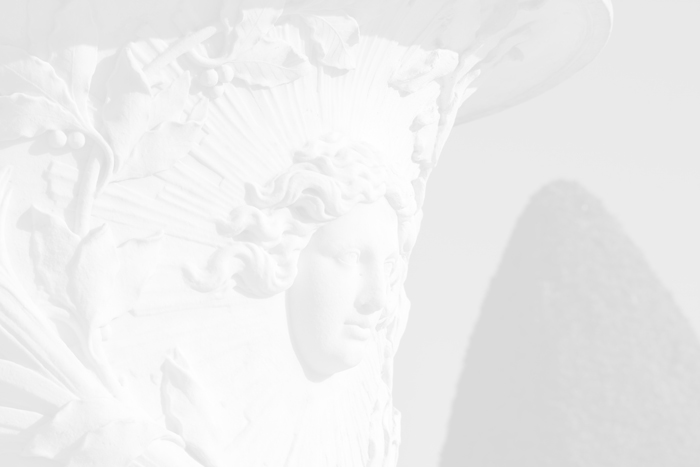 Image with missing alt attribute found on chateauversailles.fr