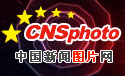 Image with missing alt attribute found on chinanews.com