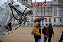 Image with missing alt attribute found on chinanews.com