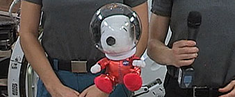 Image with missing alt attribute found on collectspace.com