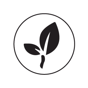 Image with missing alt attribute found on cosmetify.in