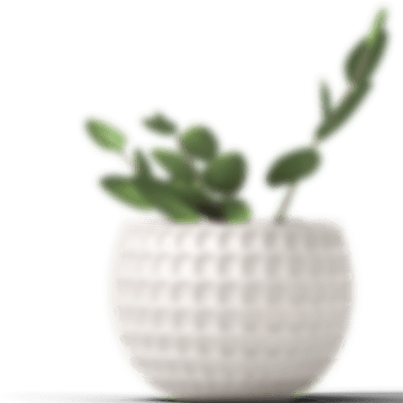 Image with missing alt attribute found on cosmetify.in