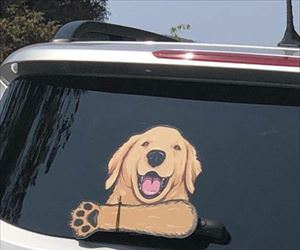 Image with missing alt attribute found on dailyhaha.com