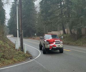 Image with missing alt attribute found on dailyhaha.com