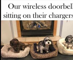 Image with missing alt attribute found on dailyhaha.com